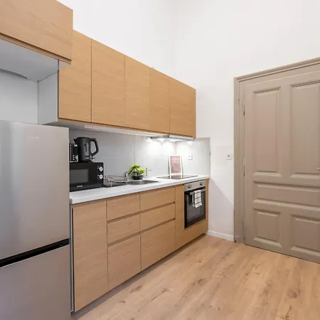 Vintage Next To The Synagogue 布达佩斯