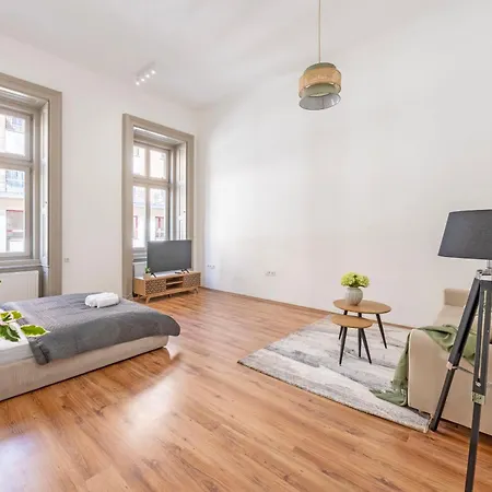 Vintage Next To The Synagogue * 布达佩斯