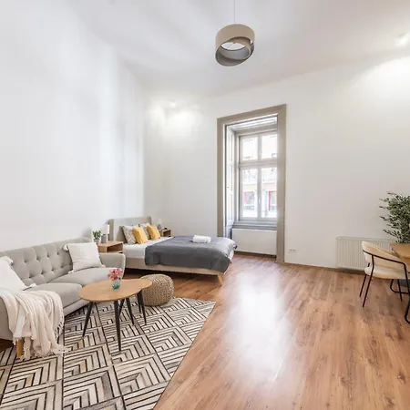 Vintage Next To The Synagogue 公寓 布达佩斯